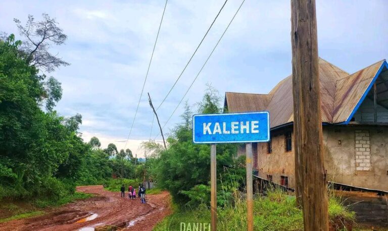 Kalehe : la barbarie militaire continue, 4 civils fusillés et 8 blessés, la société civile monte au créneau !