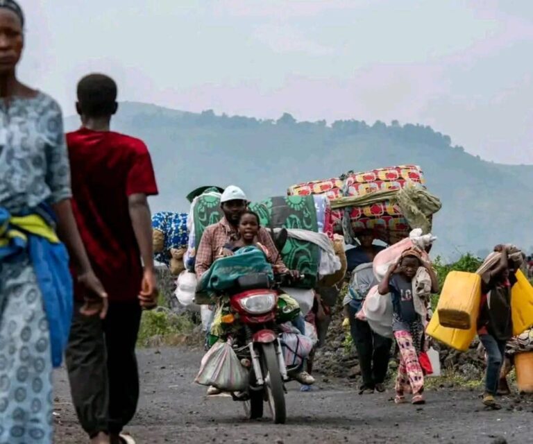 Crise humanitaire à l&rsquo;Est de la RDC : Le gouvernement congolais et des Ong appelés à agir pour protéger les déplacés